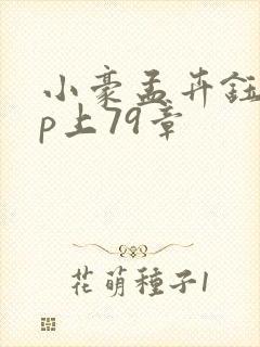 小豪孟卉钰慧三p上79章