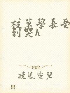 校草学长受被做到哭h