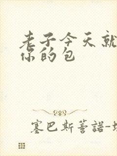 老子今天就要开你的包