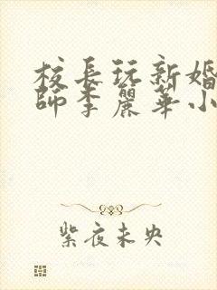 校长玩新婚女教师李丽华小说