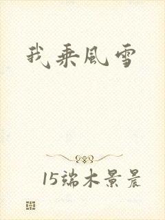 我乘风雪