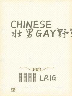 CHINESE壮男GAY野战强迫TUBE