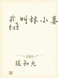 我叫林小喜小说txt