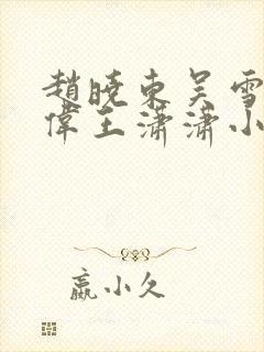 赵晓东吴雪晴郑伟王潇潇小说