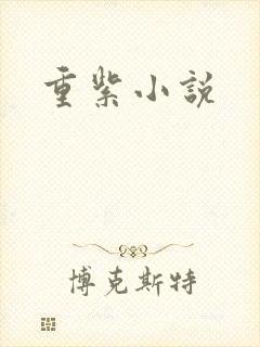 重紫小说