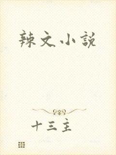辣文小说