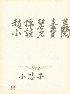 赵锦儿秦慕修的小说免费阅读全文