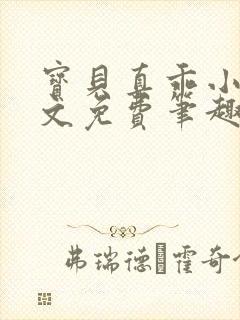 宝贝真乖小说全文免费笔趣阁