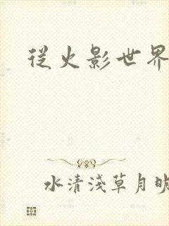 从火影世界归来