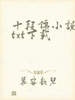 十段锦小说全本txt下载