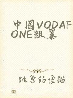 中国VODAFONE粗暴