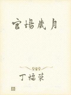 官场岁月