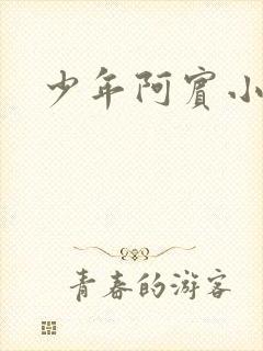 少年阿宾小说