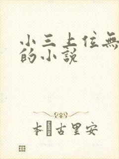 小三上位无三观的小说