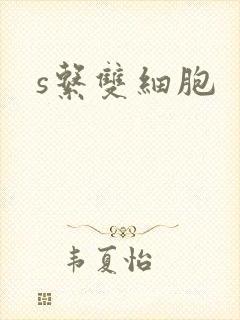 s系双细胞