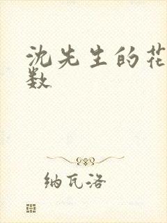 沈先生的花式调数