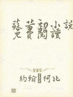 苏若初小说全文免费阅读