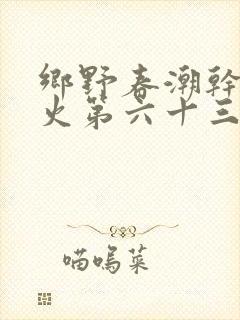 乡野春潮干柴烈火第六十三章