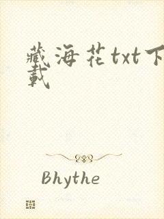 藏海花txt下载