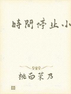 时间停止小说