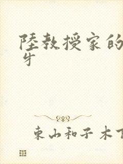 陆教授家的小月牙