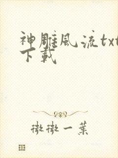 神雕风流txt下载