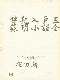 双龙入户三人行苏玥小说全文阅读