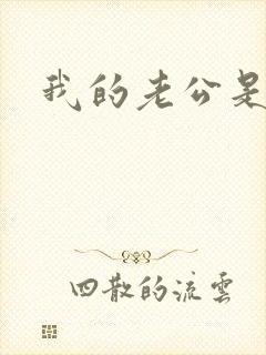 我的老公是冥王