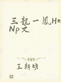 三龙一凤H啪肉Np文
