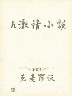 h激情小说