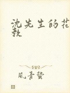 沈先生的花式管教