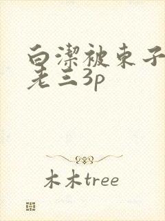 白洁被东子老二老三3p