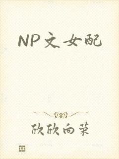 NP文女配