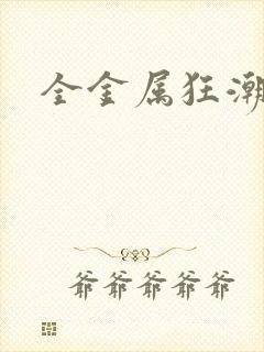 全金属狂潮小说