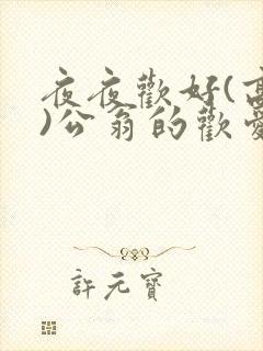 夜夜欢好(高h)公翁的欢爱