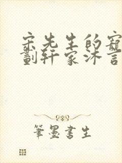 宋先生的宠妻计划轩家沐言