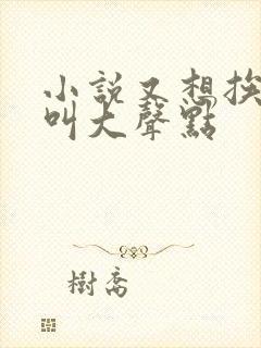 小说又想挨C了叫大声点