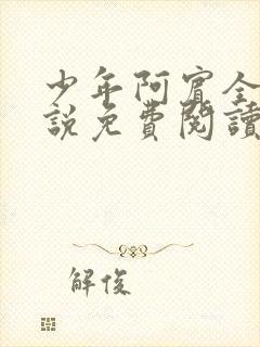 少年阿宾全文小说免费阅读笔趣阁