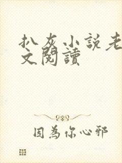 扒灰小说老马全文阅读