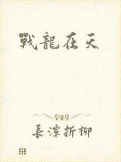 战龙在天