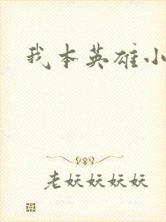我本英雄小说