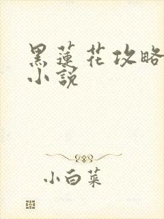 黑莲花攻略手册小说
