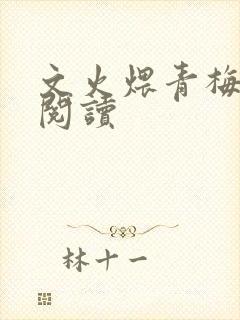 文火煨青梅免费阅读
