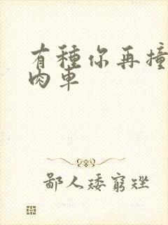 有种你再撞一下肉车