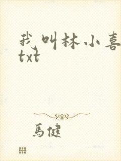 我叫林小喜小说txt