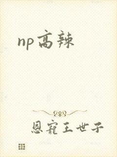 np高辣