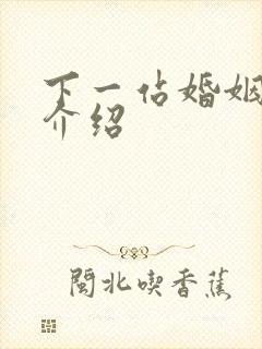 下一站婚姻剧情介绍