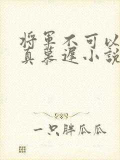 将军不可以魏云真慕迟小说笔趣阁