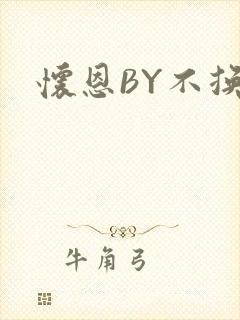 怀恩BY不换