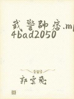 武警帅痞.mp4bad2050